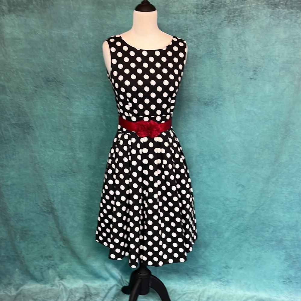 1950’s Style Polka Dot Dress
